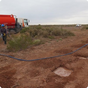 12 20180917   Filling the planting holes with water   around 20 to 40 liters per planting hole