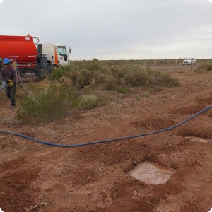 12 20180917   Filling the planting holes with water   around 20 to 40 liters per planting hole