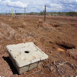 14 20180917   After digging the planting holes and adding 30 liters of water  we need to wait 24 hours for the water to create a capillary column