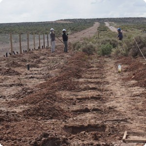 15 20180917    Preparation of planting various tree species eg  Schinus Polygamus  Eleangnus angustifolia  Eucalyptus spp  Ulmus pumila and Robinia pseudoacacia