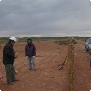 1 20180917   The planting place before the trees were planted