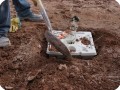 21 20180917   Adding soil to the sides of the planted Growboxx plant cocoon for extra support