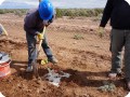 22 20180917   Adding more soil to the sides of the planted Growboxx plant cocoon for extra support