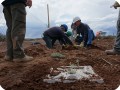 24 20180917   A native Zampa that has been planted is waiting for its water   the boxes will be filled with water in the end