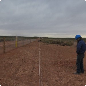 2 20180917   Checking where the trees need to be planted and measuring how many boxes can fit next to each other