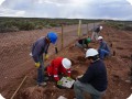 31 20180917   On the right side with the white helmet  Ing. Claudio Lijalad  from Goatec   Groasis  is helping with the plantation