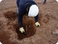 38 20180917   Diego Garrido  from Hakis  is planting a sapling in the prepared planting hole