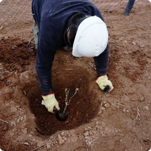 38 20180917   Diego Garrido  from Hakis  is planting a sapling in the prepared planting hole