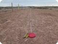 3 20180917   Measuring where the trees need to be planted 