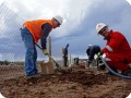 43 20180917   Enrique Brian  Shell   together with Federico Boggio  Hakis  are working together and happy with the planted saplings