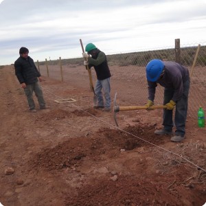 4 20180917   Digging the first planting holes