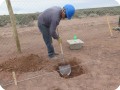 5 20180917   The Growboxx plant cocoon in the background will be used to measure the planting hole