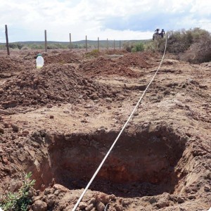 6 20180917   The trees of this project have been planted in Neuque  n  Argentina