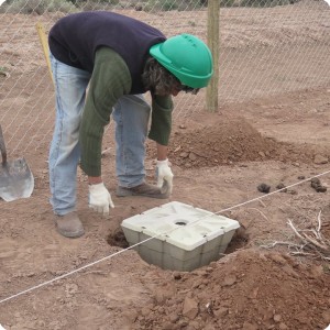 8 20180917   Checking how deep the sapling and the box need to be