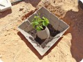 10 The Growboxx plant cocoon while installing