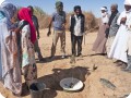 12 Installing the Waterboxx plant cocoon