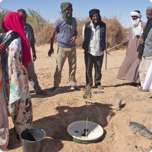 12 Installing the Waterboxx plant cocoon