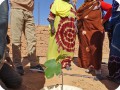 14 Now the tree has to start growing with the help of the Waterboxx plant cocoon