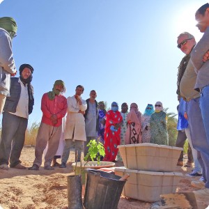 2 We plant the disposable Growboxx plant cocoon and the 10x resusable Waterboxx plant cocoon