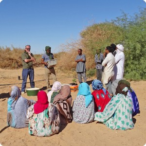 8 Education about the Waterboxx plant cocoon