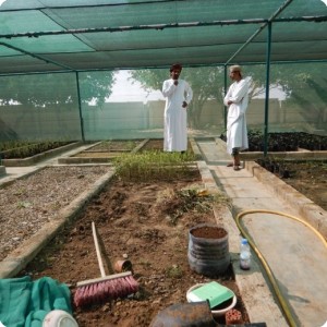 9 NURSERY ACTIVITY  DHOFAR