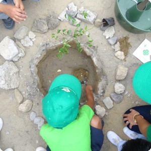 16 Each student will plant a tree