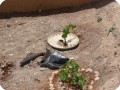 20120611   4 This Waterboxx is planted by one of the families