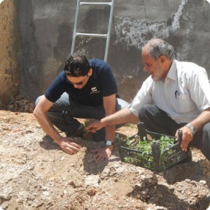 20120618   3 Planting trees brings people together