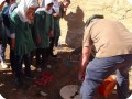 20161110   3 Michael Schuring  distributor of Groasis in Jordan  showing how to plant and put water according to Groasis Technology Instructions