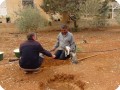 20161119   2 Even the cat wants to help planting trees