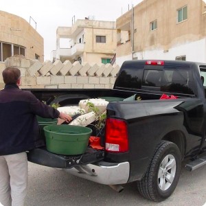 20161119   4 The truck is full with waterboxes and trees