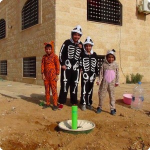 20161119   6 UM Alfahad Al Alwan doesn   t have her garden fenced yet  so we used the GrowSafe  Green Tube  to protect the grape against animals