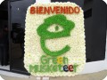 2 The opening of the Green Musketeer project in Ecuador