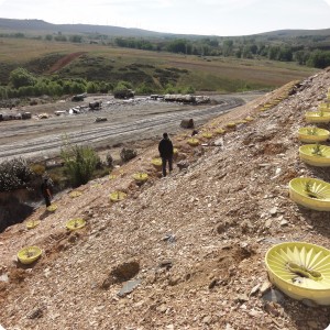 12 On every 10 meter extra height a line of trees is being planted