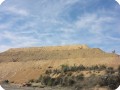 22 Fifty meter high mine dumping place reforested with trees creating new beauty