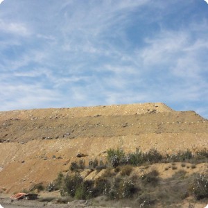 22 Fifty meter high mine dumping place reforested with trees creating new beauty