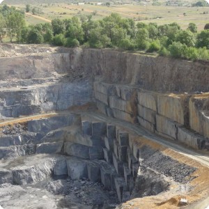 3 Above the slate mines were growing trees the objective of Live  Project is to restore this