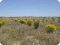 6 Los Monegros Desert Zaragosa is over  40    C in Summer