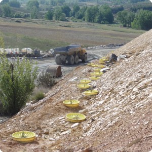 9 The saplings have to re establish and re cover the eroded area
