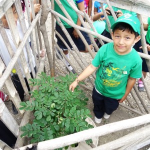 2. A student next to his planted tree  