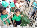 3. The students are proud of their trees 