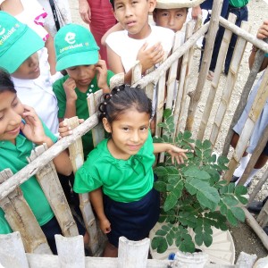 3. The students are proud of their trees 