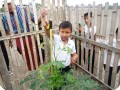4. Measuring the growth of the trees