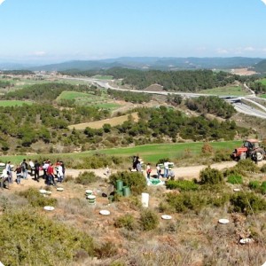 7 Beautiful Catalunya with snow on the Pyrenees mountains in the background