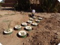 Groasis waterboxx planted in Wadi nr 5 in Oct 2017