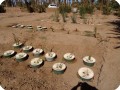 Groasis waterboxx planting in Wadi nr 4 and 5 in Oct 2017  2 