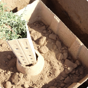 18. Only if you use the cover of the Growboxx   to plant vegetables or other plants  then fill the Growboxx up to the rib in the side wall