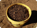 19. You can then also use compost in the Growboxx     mixed with soil   the vegetables or plants will grow better