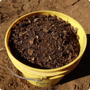 19. You can then also use compost in the Growboxx     mixed with soil   the vegetables or plants will grow better