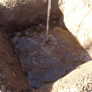 2. DAY 1   Fill the planting hole with water